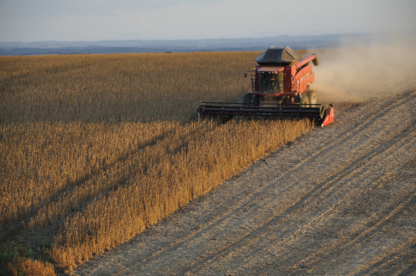 O agro não é pop: concentração da terra e uso de venenos crescem juntos