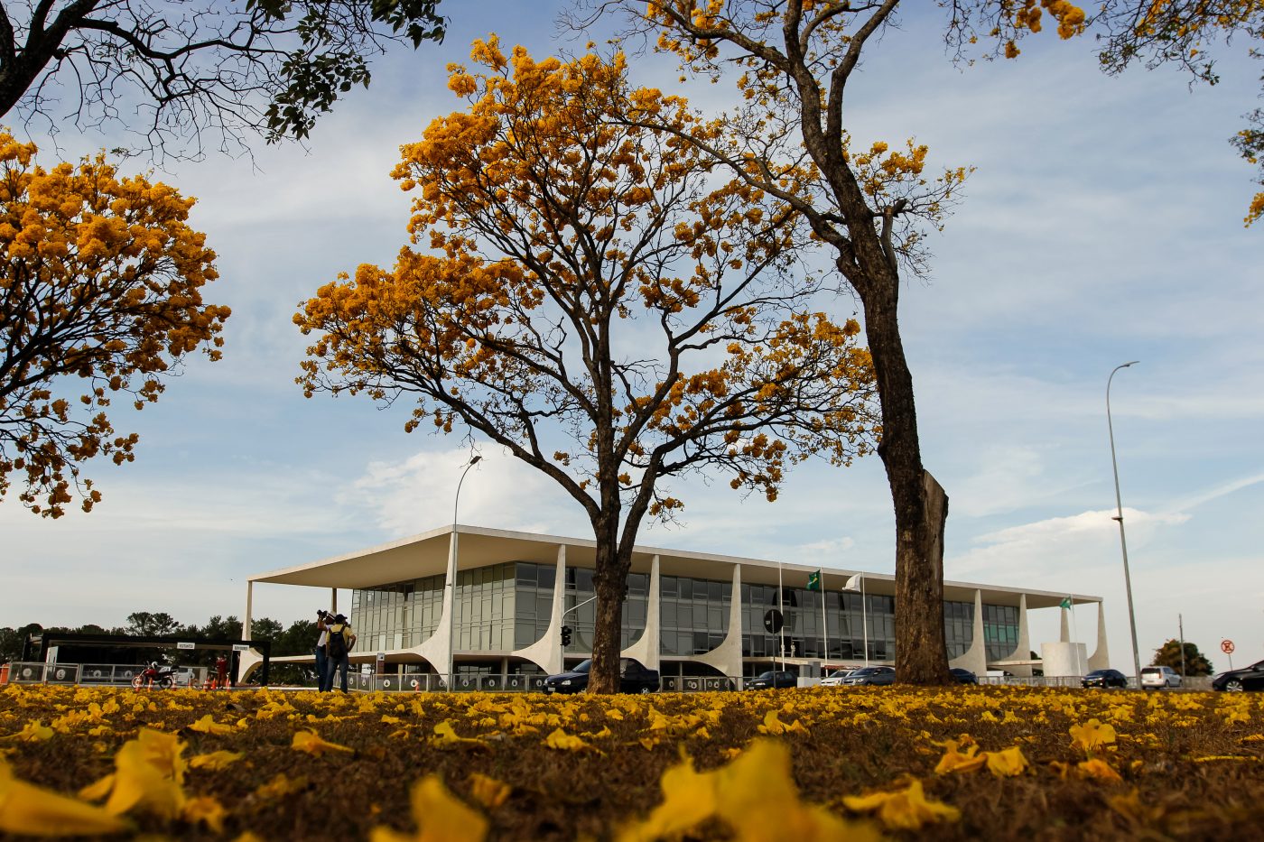 O que o representante de Coca e Ambev foi fazer no Planalto?