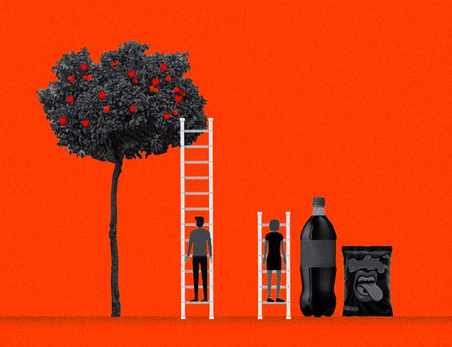Mulheres, negras, moradoras da periferia: a desigualdade alimentar tem endereço