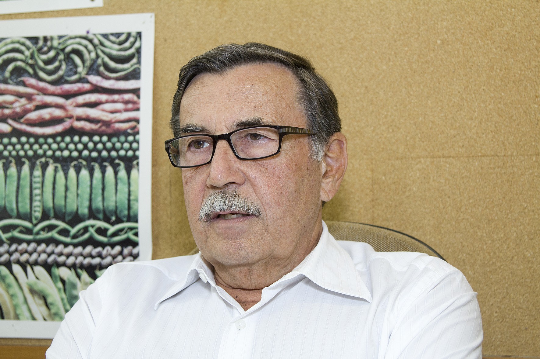‘Cada um está submetido às éticas próprias’, diz diretor de instituto ligado à Coca-Cola