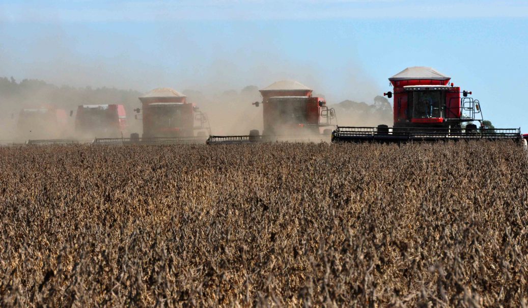 O périplo do agronegócio no Brasil: da criação aos dias atuais