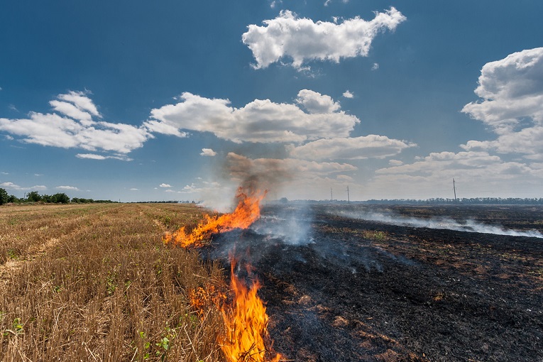 Obesidade, desnutrição, mudanças climáticas: três faces de uma mesma questão