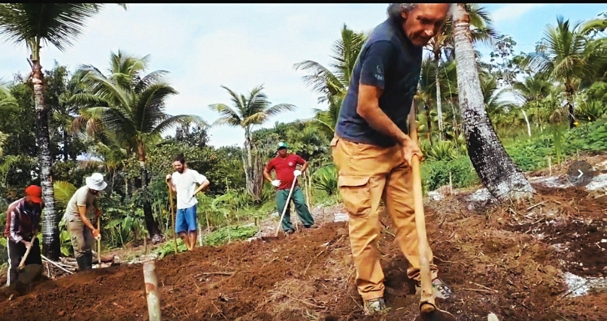 Com micropolítica em rede, a comida de verdade na Bahia