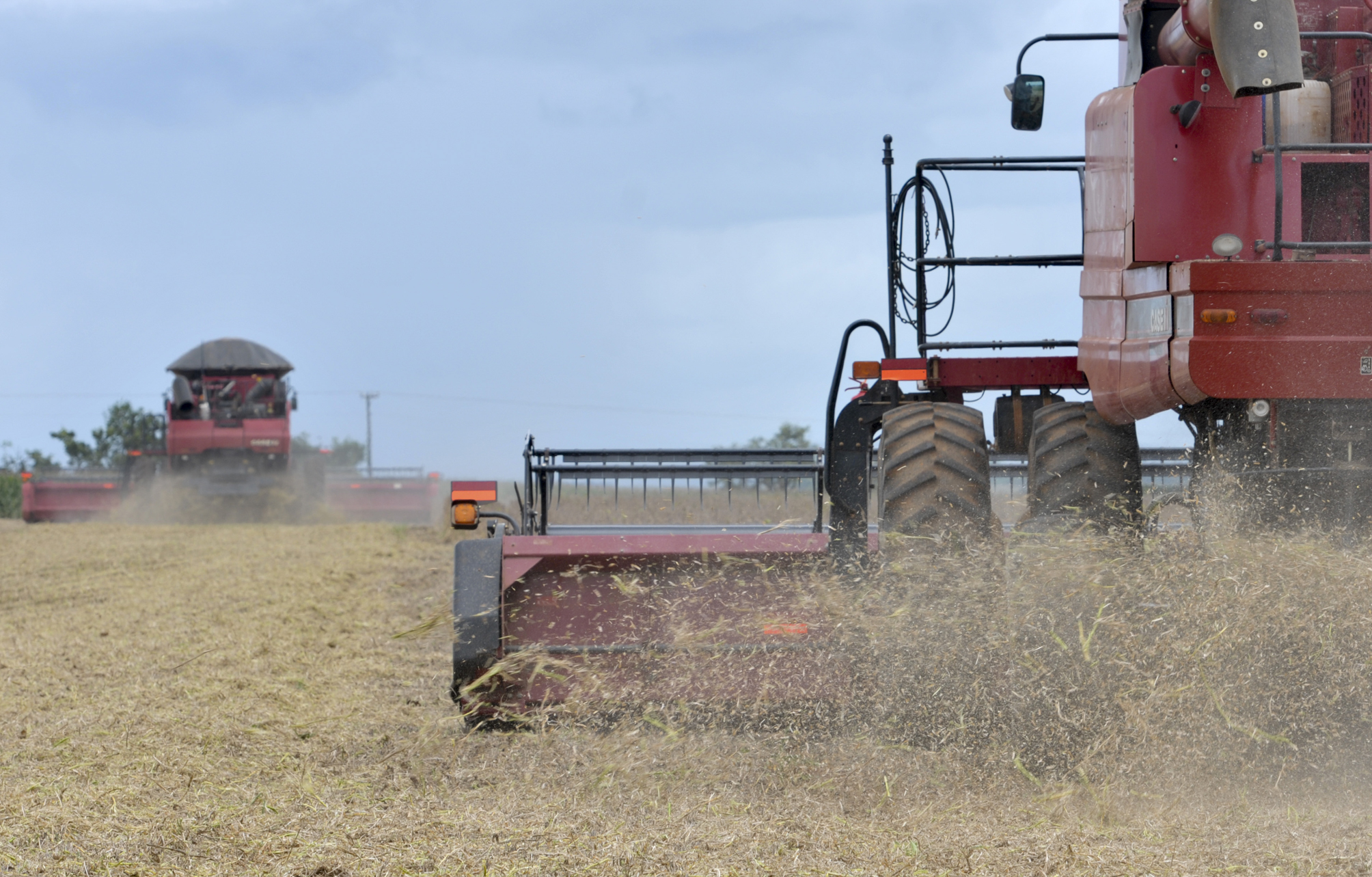 No Censo Agropecuário, o latifúndio sobe e a produção familiar desce