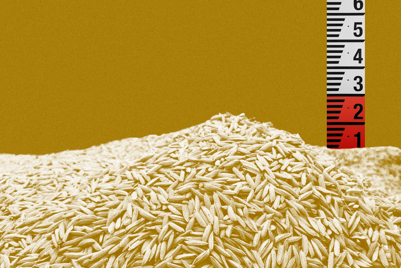 Por que o fim dos estoques públicos de alimentos do Brasil é um problema