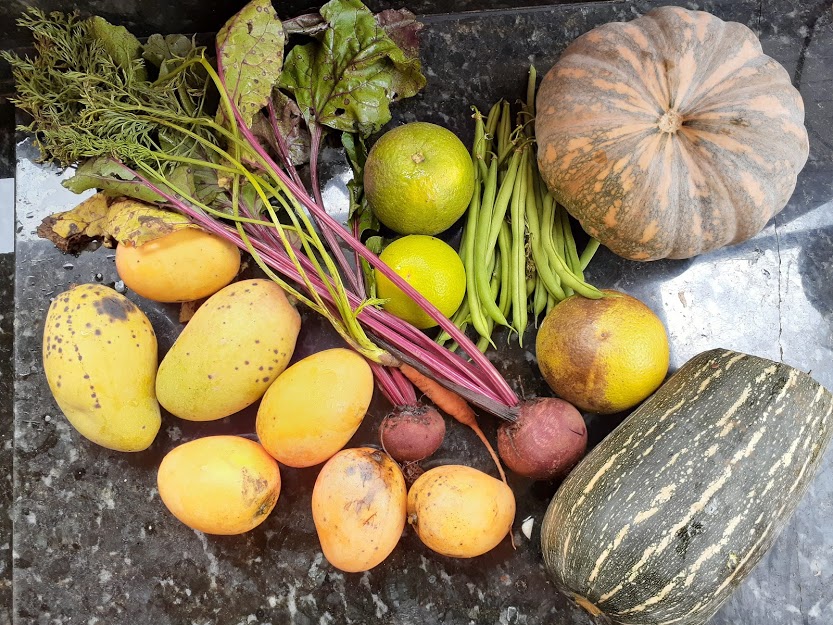 Por cultura alimentar, CSA’s juntam de quilombolas a ‘urbanoides’