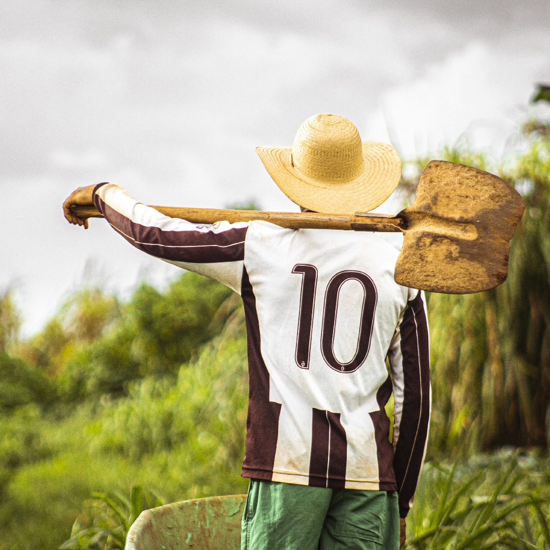 Coronavírus e agricultura: a realidade de quem coloca a comida no seu prato