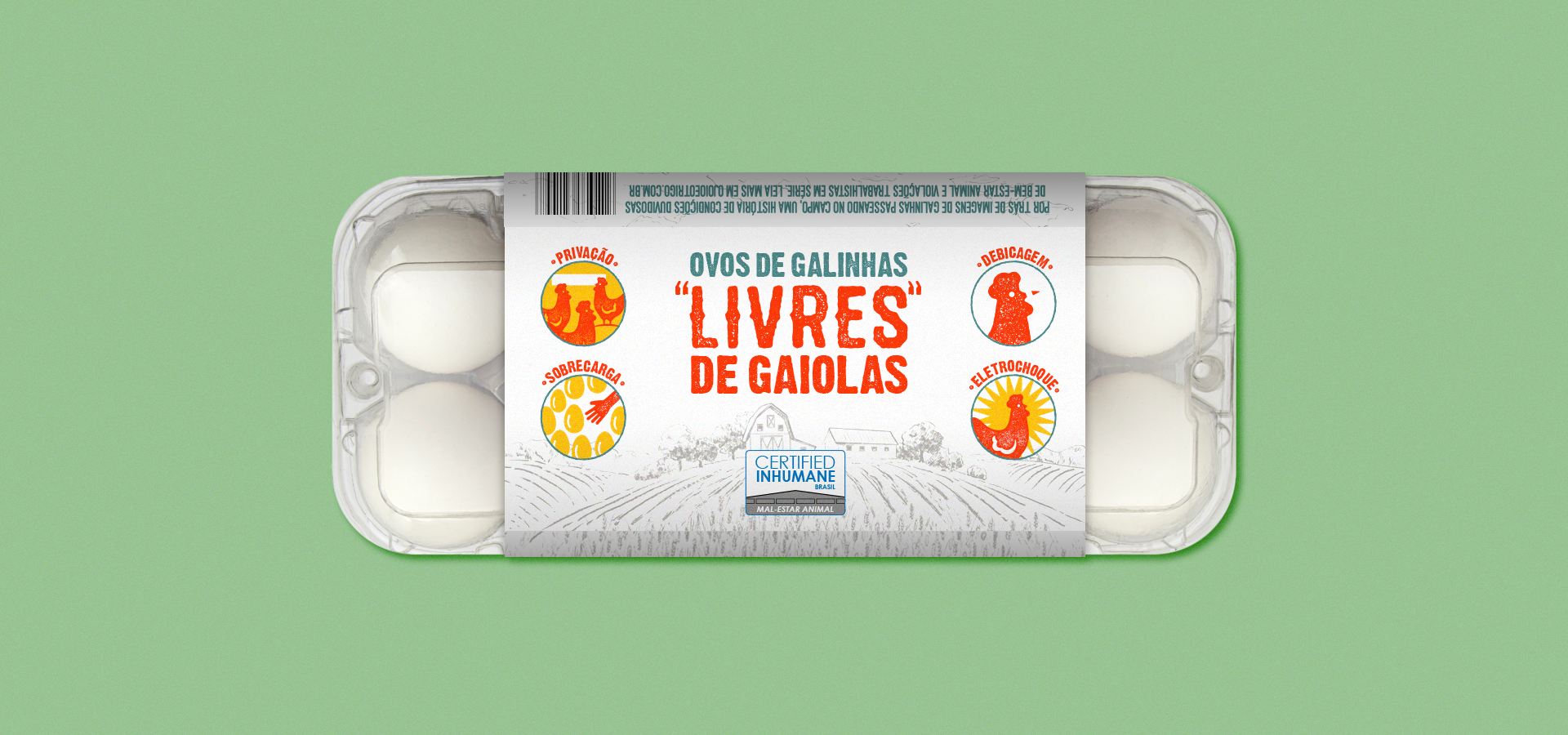 Quando a embalagem esconde a realidade: choques, maus-tratos e fraudes na vida das galinhas “livres de gaiola”