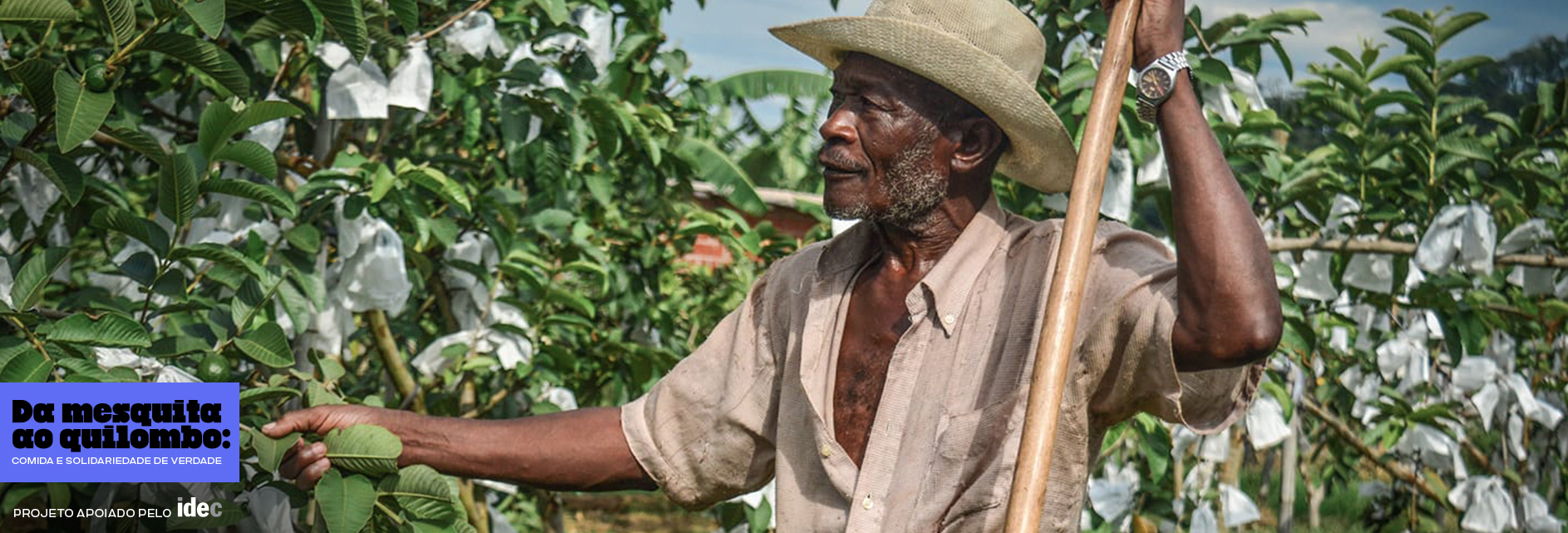 Mais do que nunca, se o campo não planta, a cidade não janta