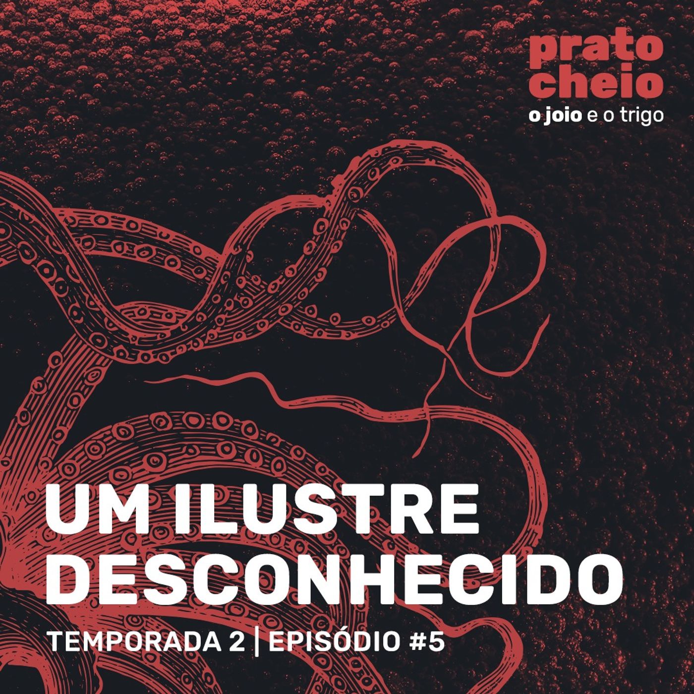 Um Ilustre Desconhecido