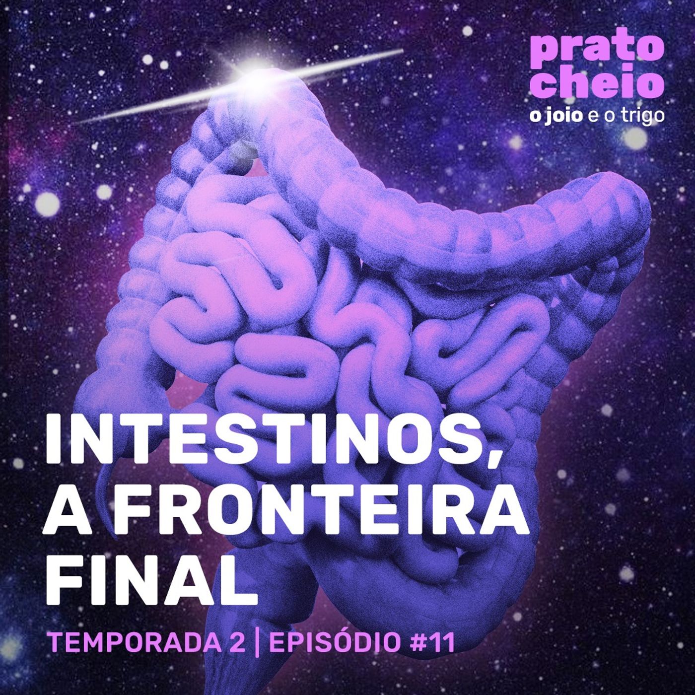 Intestinos, a fronteira final