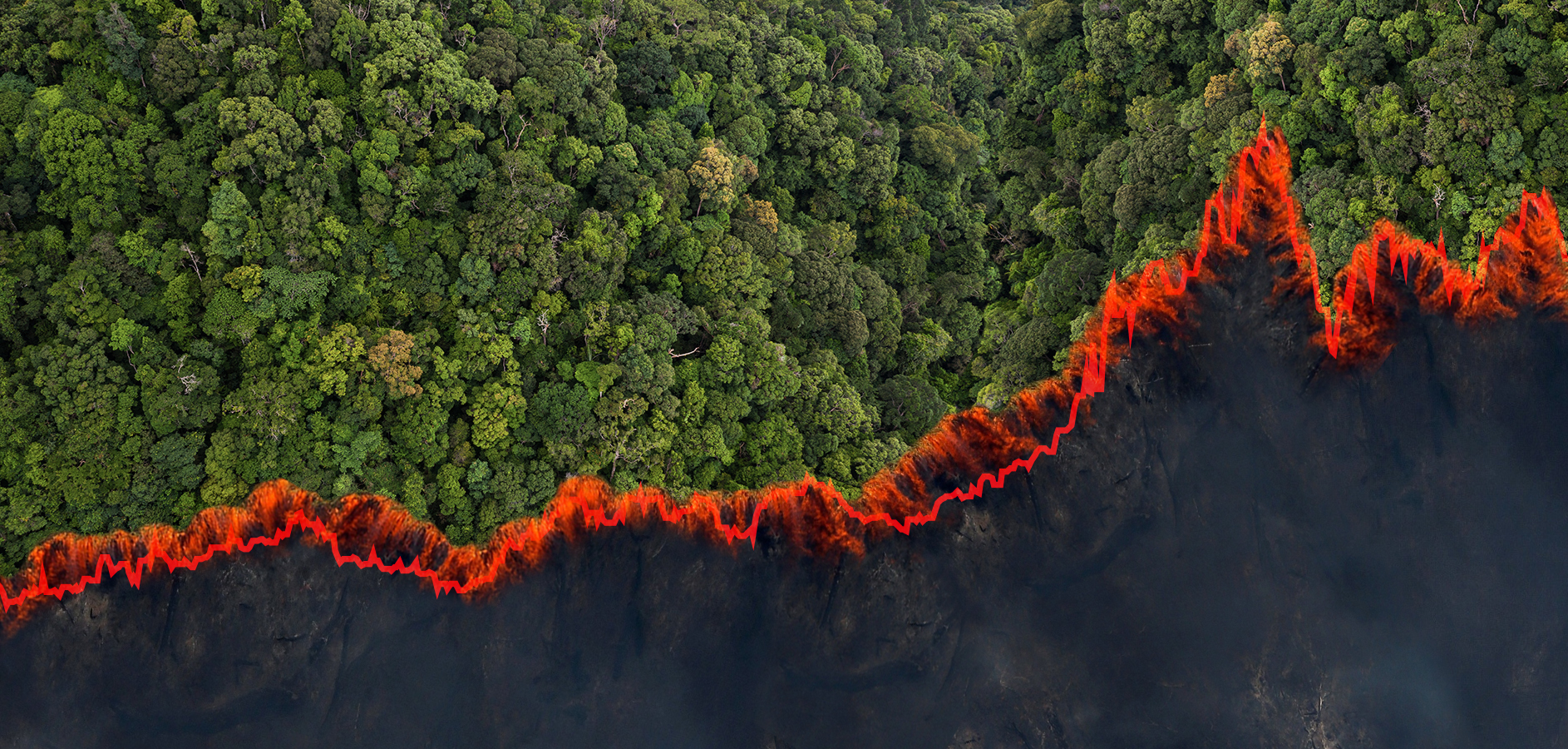 O que o dólar alto tem a ver com a destruição da Amazônia e do Cerrado