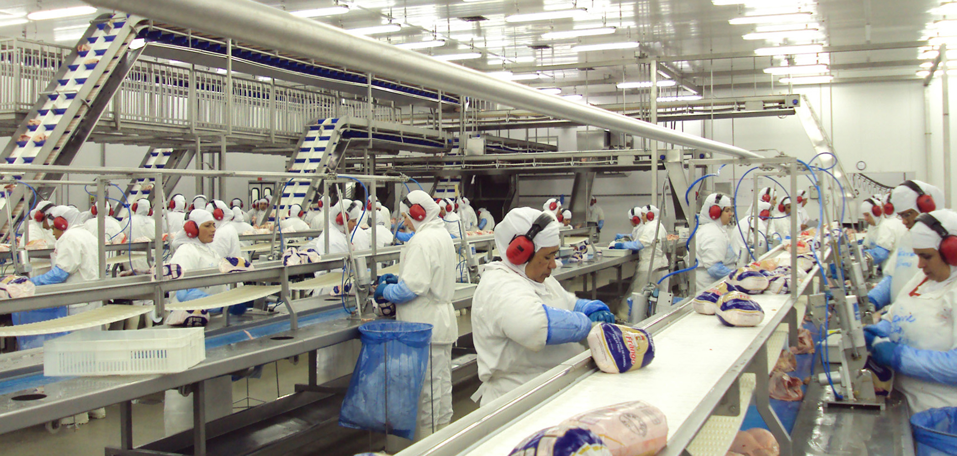 Cidades pequenas com grandes frigoríficos registram 70% mais acidentes de trabalho