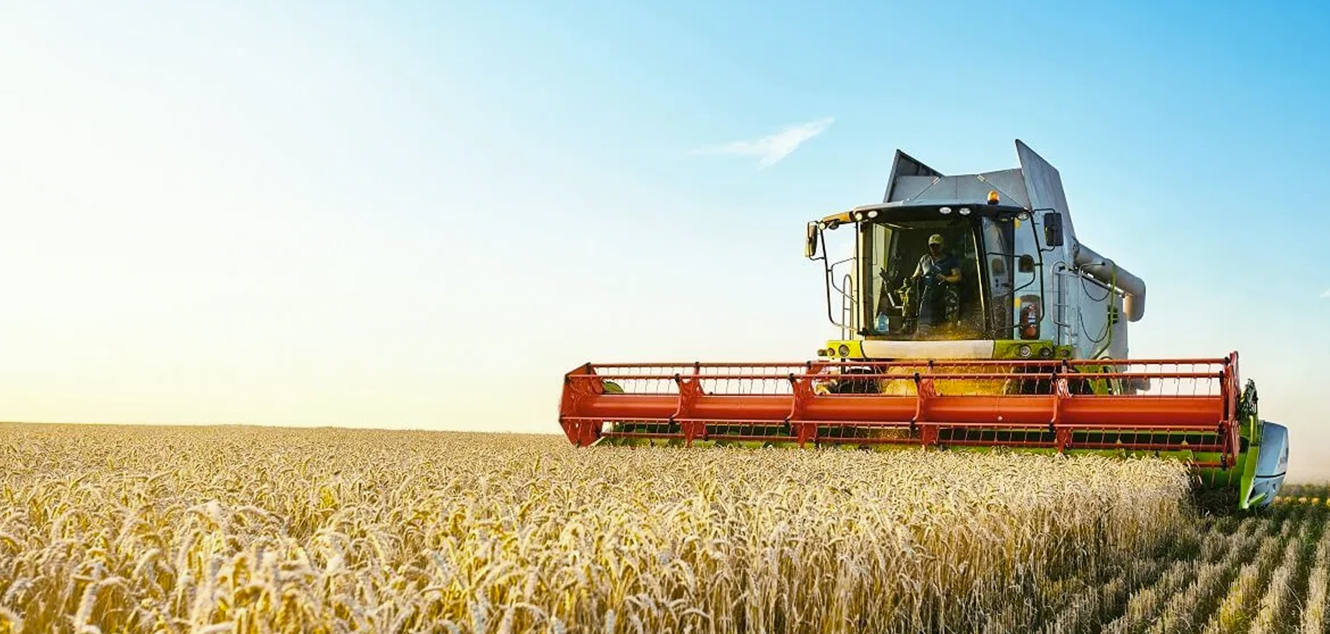 O agro, de onde vem?