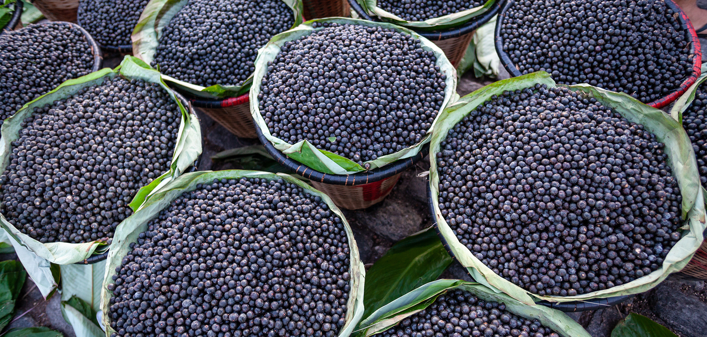 O açaí, uma commodity?