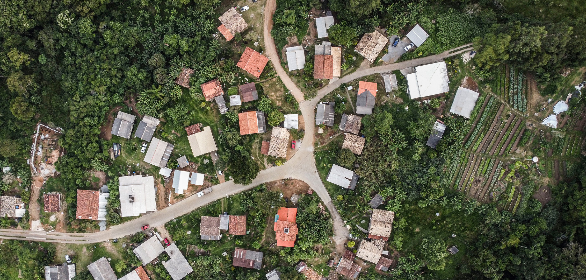 Após pressão, programa para erradicação da fome volta a funcionar em Santa Catarina
