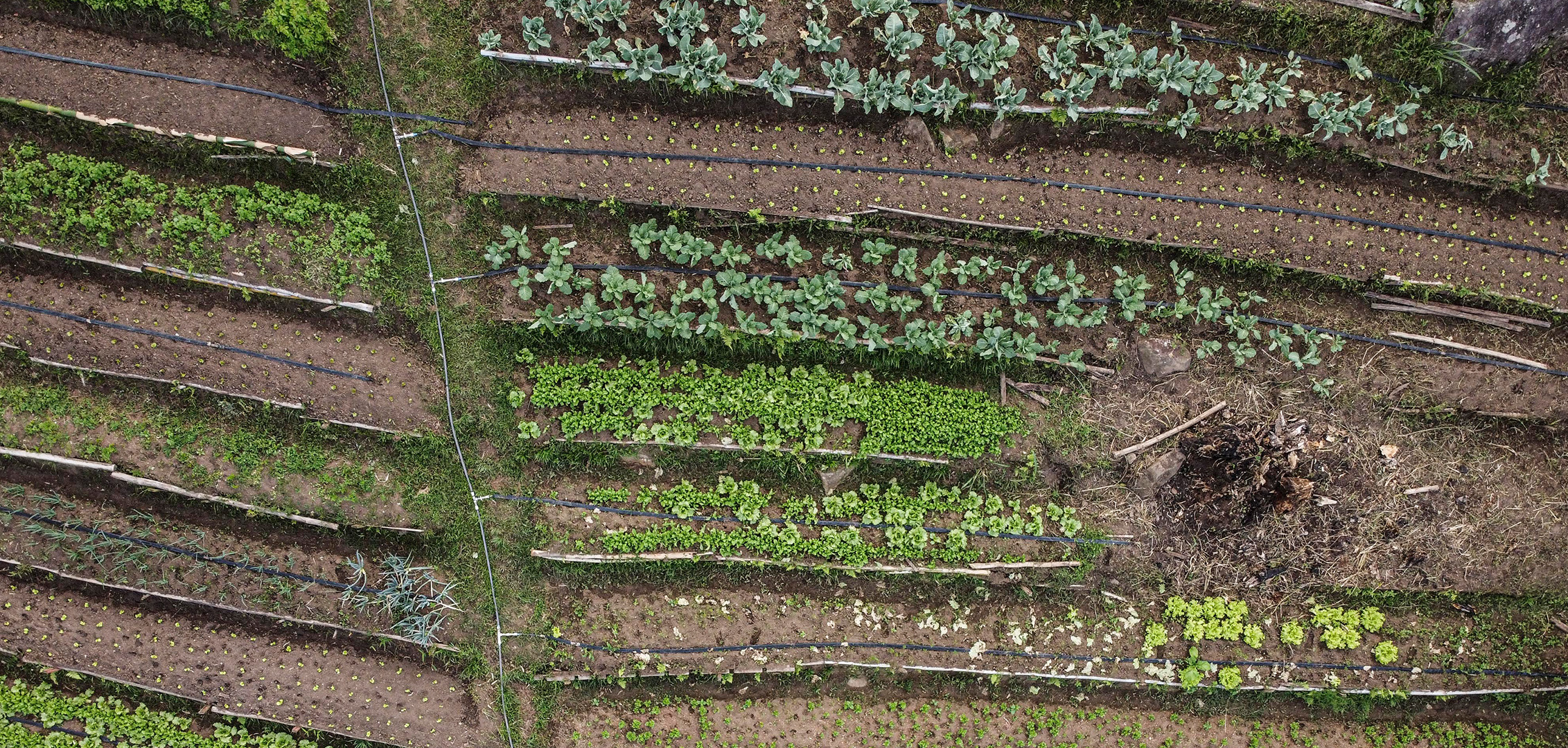 Governo de Santa Catarina não gasta recurso de programa destinado à erradicação da fome