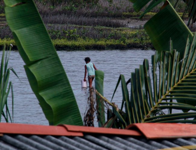 O alto preço da produção do camarão em Sergipe
