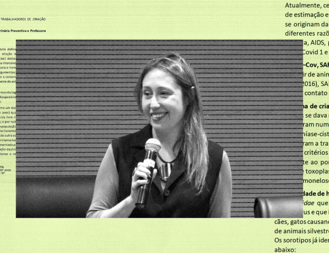 “É uma tentativa de me intimidar, limitar minha pesquisa e o livre pensar”, diz professora da USP que saiu do Brasil após ameaças