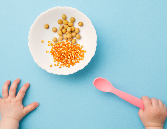 O Agro brasileiro alimenta o mundo? Estudo da Embrapa usa regra de três para provar que sim, mas os fatos dizem que não