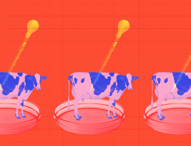 A fantástica fábrica de carnes e a corrida pela produção do bife de laboratório