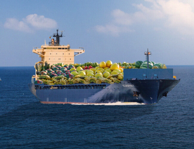 Alheio a inflação e fome, governo e agro querem fazer das frutas a nova frente de exportação