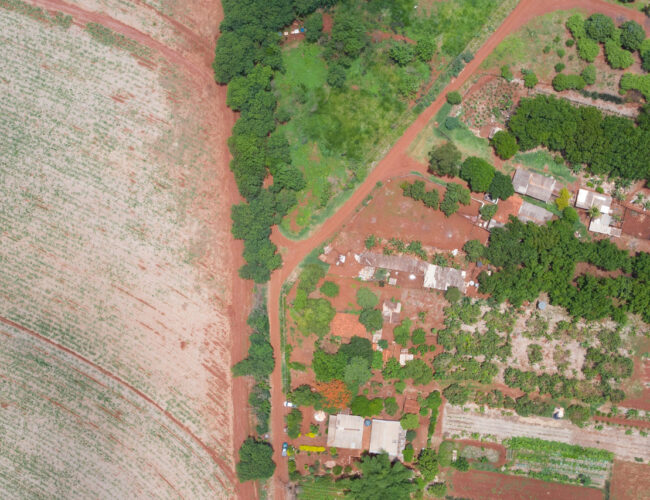 Agronegócio, ultraprocessados, destruição ambiental e doenças crônicas: tudo a ver ou nada a ver?