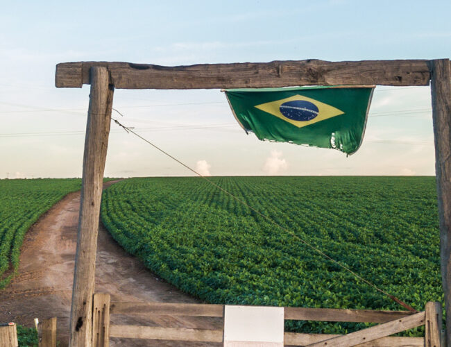 No norte do MT, o casamento do orgulho branco do agronegócio com o bolsonarismo