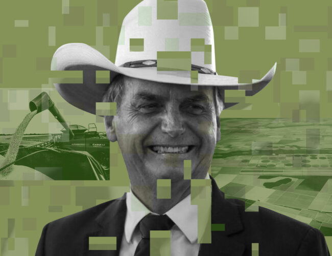 Titula Brasil faz parte da maior ofensiva de grilagem pós-ditadura