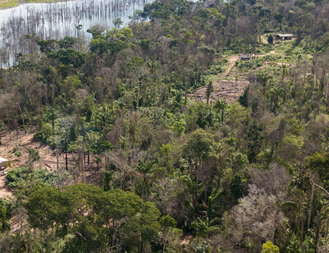 Após denúncia do Joio, Incra faz vistoria em assentamento grilado no Mato Grosso