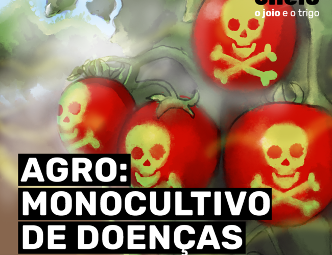 Agro: monocultivo de doenças