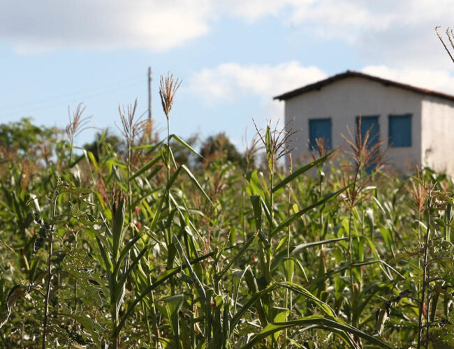 Fome atinge 22% dos produtores rurais e agricultores familiares