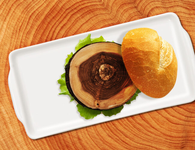 Madero: o hambúrguer com sabor de desmatamento