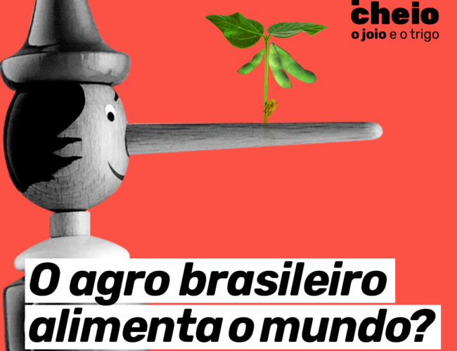 O agro brasileiro alimenta o mundo? | Drops eleições 2022