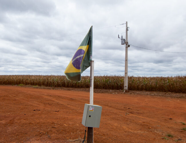 Apoiado por Bolsonaro, projeto de agro em terra indígena no Mato Grosso avança com atropelos e ilegalidades
