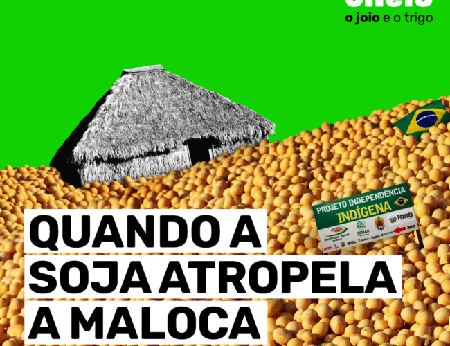 Quando a soja atropela a maloca