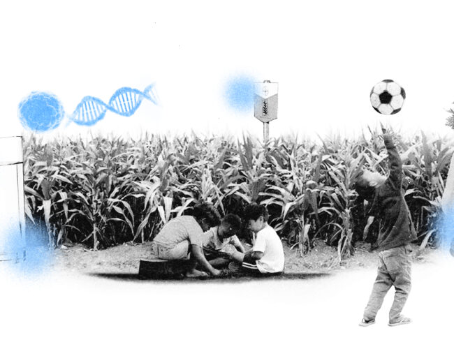O que os agrotóxicos têm a ver com o câncer infantojuvenil