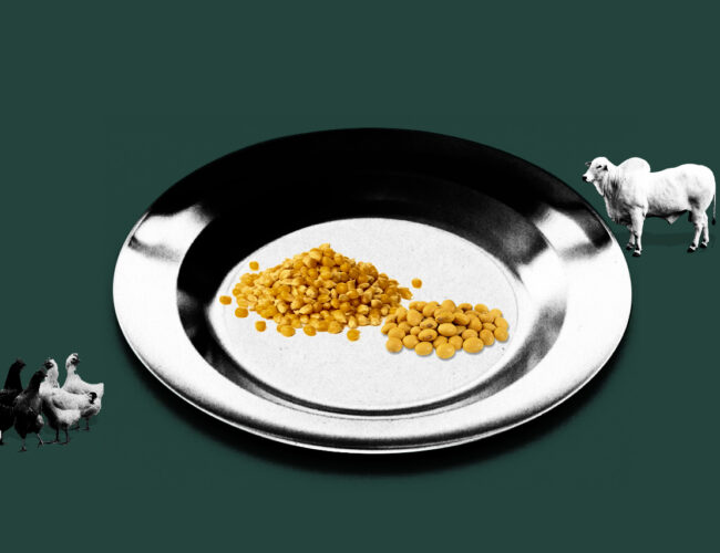 Tudo o que sabemos sobre as relações entre agronegócio e fome