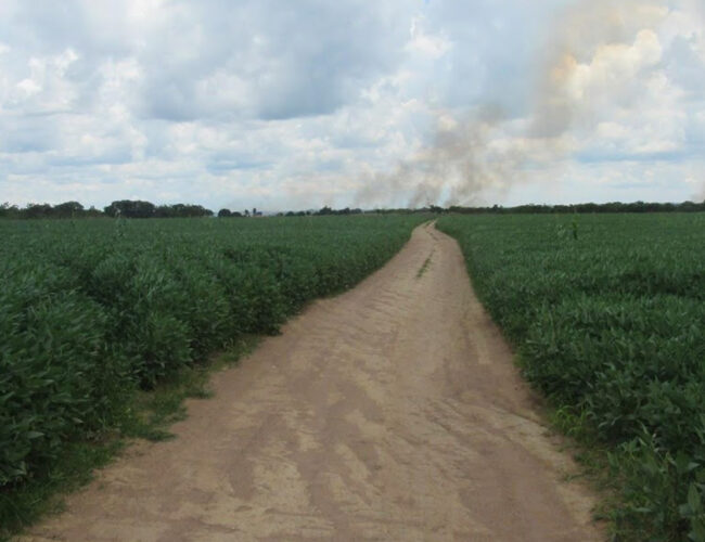 Funai ignorou por quase dois anos denúncia de arrendamento em terra indígena no Mato Grosso