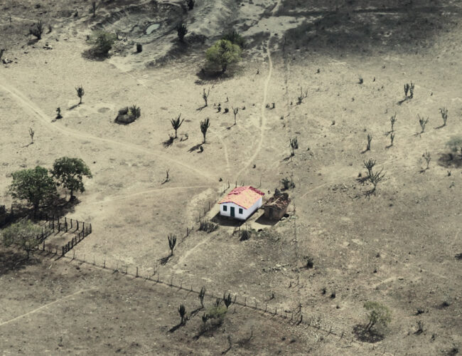 Cercados pelo agronegócio, agricultores familiares e indígenas sofrem com insegurança alimentar no Cerrado