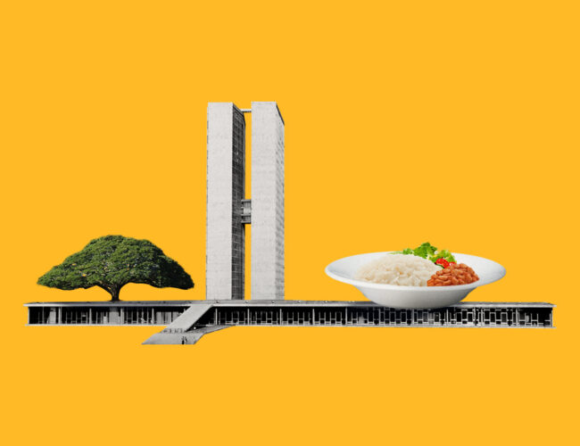 Conheça os estados que mais elegeram parlamentares com compromisso ambiental e combate à fome
