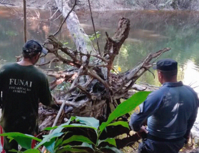 Há mais de um ano, Funai se omite em proteger indígenas isolados localizados na Amazônia