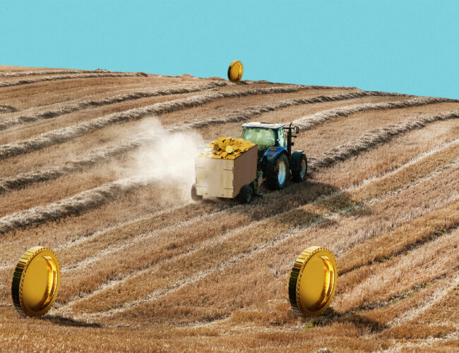 Sob Bolsonaro, valor da terra dobra em capitais do agronegócio