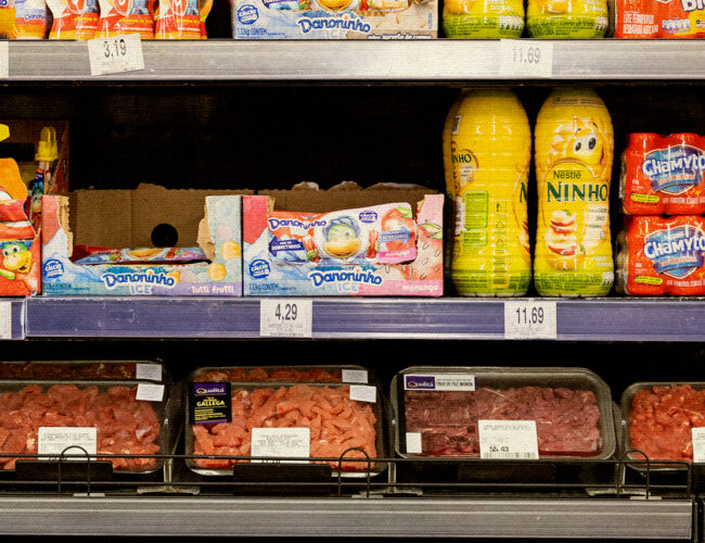 Oficina para jornalistas: “Corporações podem resolver os problemas relacionados à alimentação?”