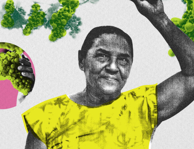 Exploração do trabalho e violações: a rotina das mulheres na produção de frutas para exportação