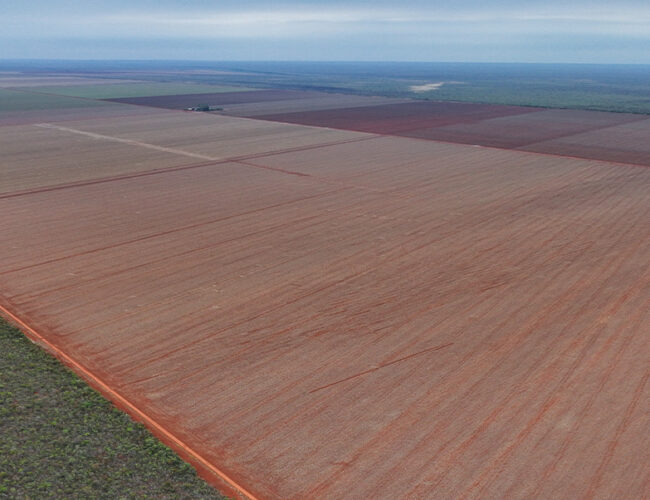 Envolvidos em irregularidades, indígenas sojicultores tentam licenciar área de 19 mil hectares em Mato Grosso