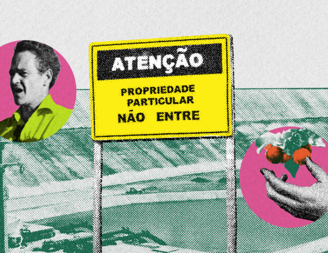 Empresa de orgânicos Meri Pobo se vende como sustentável, mas é investigada por crimes ambientais