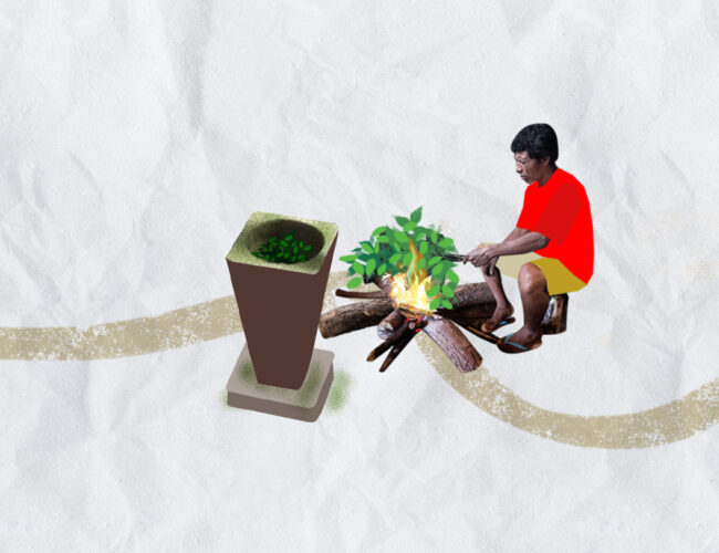 Mate: tradição gaúcha ou carioca? Nenhuma das duas, o mate é Guarani 