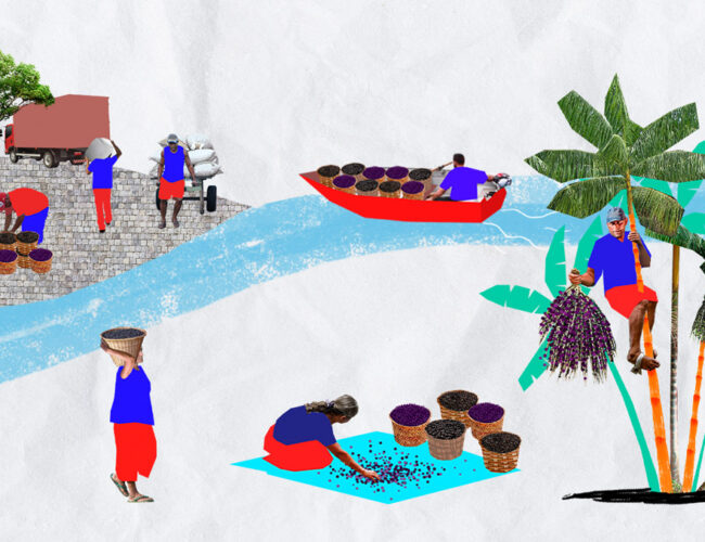 Alimento tradicional da cultura amazônica, açaí entra na rota das commodities e preço dispara