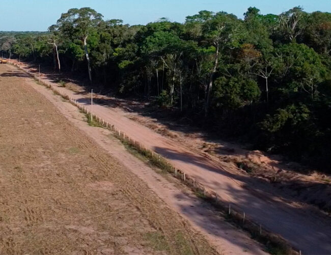 Após reportagem do Joio, Nestlé exclui Marfrig da lista de fornecedores